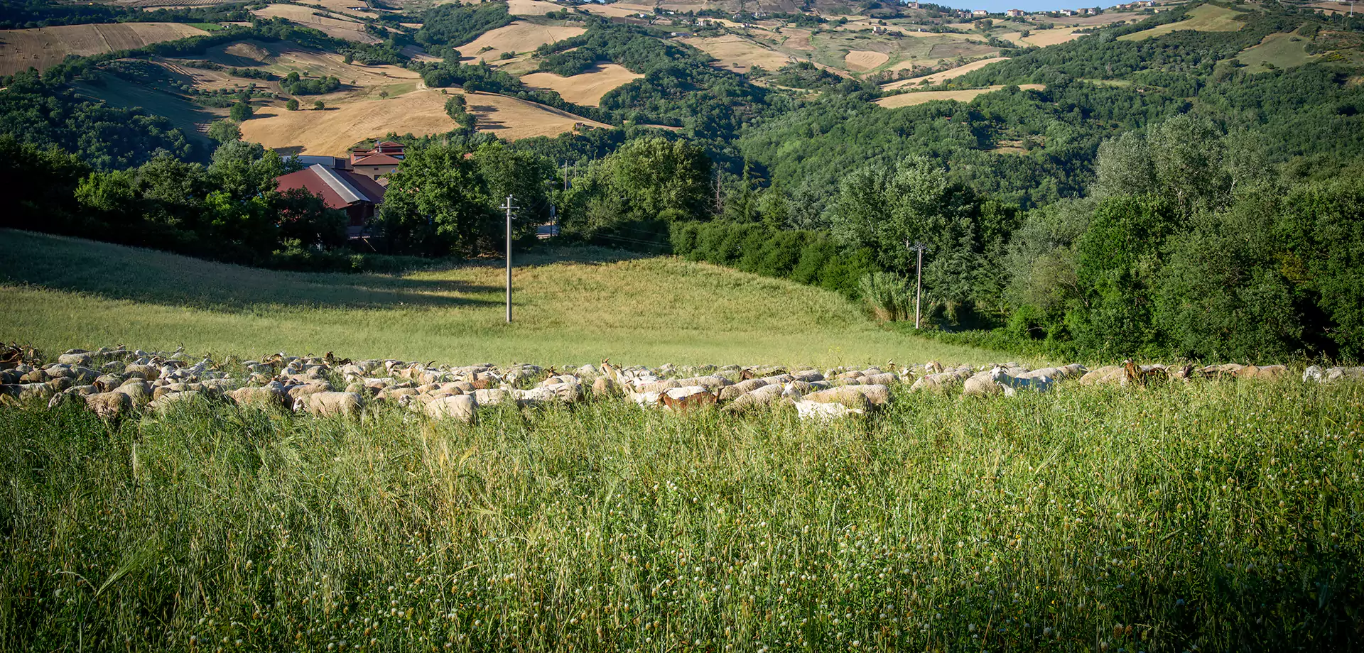 Il Parco delle Bontà - Caggiano-Summo - Slide 1